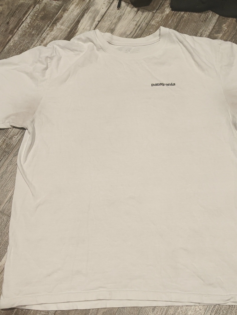 Patagonia White Short-Sleeve Tee with Chest Logo
